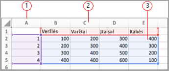 Duomenų laukai programoje "Excel"