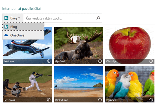Ekrano nuotrauka, vaizduojanti langą Paveikslėlių įterpimas, skirtą internetiniams paveikslėliams.