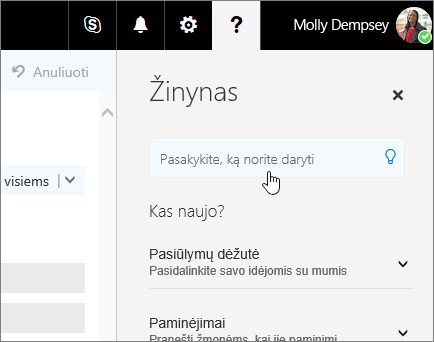 Internetinės "Outlook" žinyno srities ekrano nuotrauka, kurioje rodomas laukas ką norite daryti.