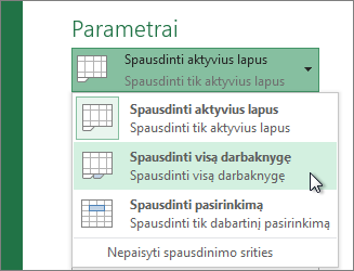 Dalyje Parametrai spustelėkite Spausdinti visą darbalapį