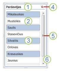 „PivotTable“ duomenų filtro elementai