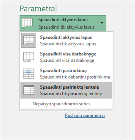 Spausdinti pasirinktą lentelę