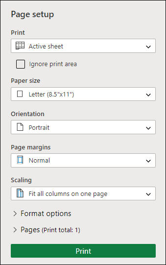 Print setup screen