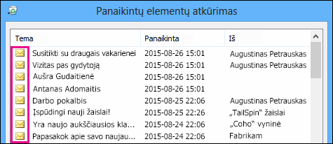 Visų tipų elementai turi tą pačią piktogramą atkuriamų elementų aplanke