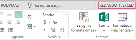 Redagavimo programoje „Excel“ mygtukas