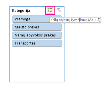 Duomenų filtro pasirinkimas su paryškintu kelių elementų pasirinkimo mygtuku