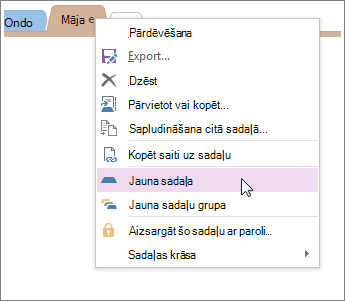 Pievienojiet jaunu sadaļu programmā OneNote.