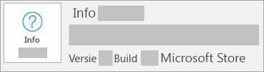 Schermafbeelding van de versie en build in de Microsoft Store