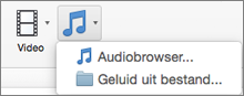 Menu Audio invoegen met opties Audio uit bestand en Audiobrowser