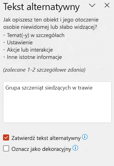 Automatyczny tekst alternatywny wyświetlany w okienku Tekst alternatywny z zaznaczonym polem wyboru Zatwierdź tekst alternatywny.