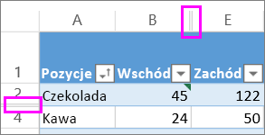 Podwójne linie między wierszami lub kolumnami oznaczają, że w arkuszu są ukryte wiersze lub kolumny