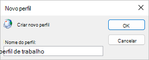 Insira um nome de perfil.