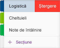 Ștergerea unei secțiuni în OneNote pentru iOS