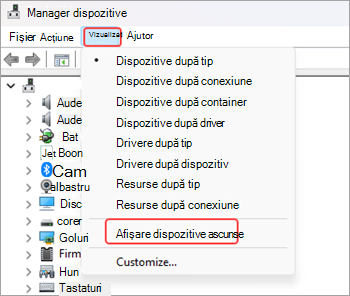 Captură de ecran a ferestrei Manager dispozitive cu opțiunea Vizualizare selectată din panglica meniului și opțiunea Afișare dispozitive ascunse evidențiată cu roșu.