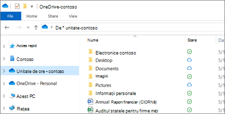 Captură de ecran a fișierelor OneDrive pentru business în Explorer