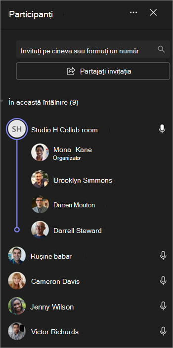 Captură de ecran care arată cum sunt grupați participanții la întâlnire într-o listă