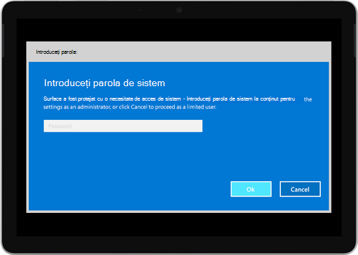 Afișează un ecran albastru care spune "Introduceți parola de sistem". Există o casetă pentru a introduce parola și, sub aceasta, există butoanele OK și Anulare.
