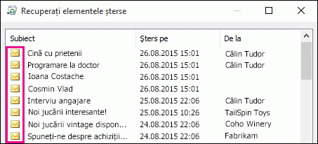 Toate tipurile de elemente au aceeași pictogramă în folderul Elemente recuperabile