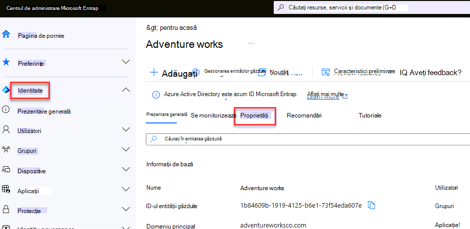 Elementul de proprietăți din centrul de administrare Azure Active Directory (AAD).