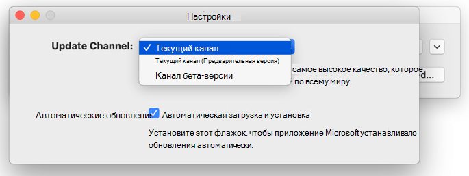 Изображение окна "Автоматическое обновление Майкрософт" для Mac -> окно "Параметры" для Mac с вариантами обновлений канала.