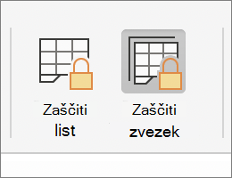 Označena možnost »Zaščiti delovni zvezek« v sistemu MacOS