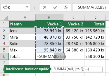 Cell D6 visar summaformeln för Autosumma: =SUMMA(B2:B5)