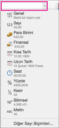 Sayı biçimleri kutusu