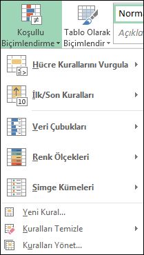 koşullu biçimlendirme menüsü, kuralları yönet vurgulanmış