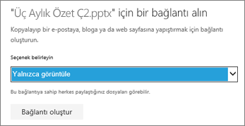 Başka kişilerin dosyanızı görmesine izin vermek için Yalnızca Görüntüleme’yi seçin