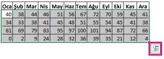 Hızlı Çözümleme düğmesi ile seçilmiş veriler