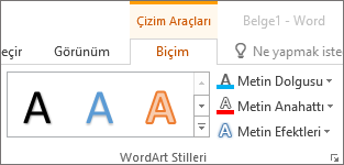 WordArt Stilleri grubu