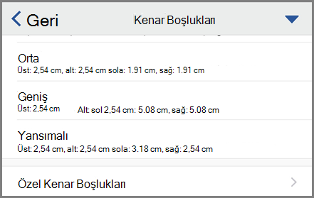 Kenar boşluğu seçeneklerini gösteren