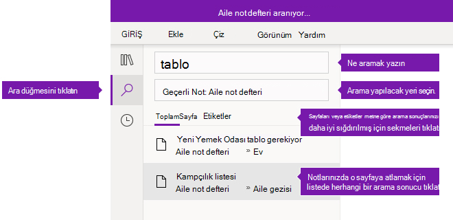 Windows 10 için OneNote'ta arama bölmesi seçenekleri