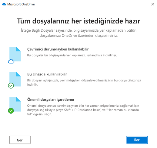 OneDrive’a Hoş geldiniz sihirbazındaki İsteğe Bağlı Dosyalar ekranı