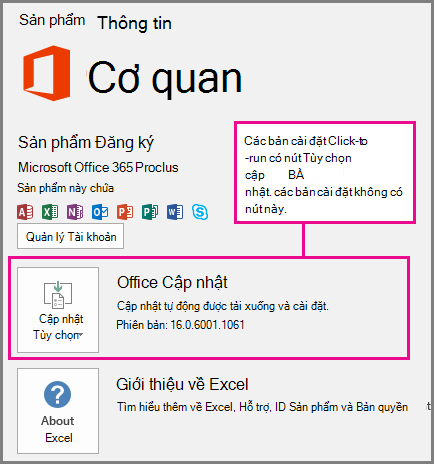 Các bản cài đặt Click-to-run có nút Tùy chọn Cập nhật trên trang Tài khoản. Các bản cài đặt dựa trên nền tảng MSI không có nút này.