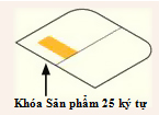 Khóa Sản phẩm nằm bên trong gói hàng phía trên nhãn ở bên trái hộp đựng