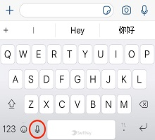 ios-voice-typing-icon