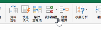 含有已選取 [資料驗證] 的 Excel 工具列資料功能表