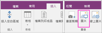 螢幕擷取畫面顯示 OneNote 2016 中的 [插入圖片] 按鈕。