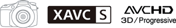 XAVCS AVCHD 3D/Progressive