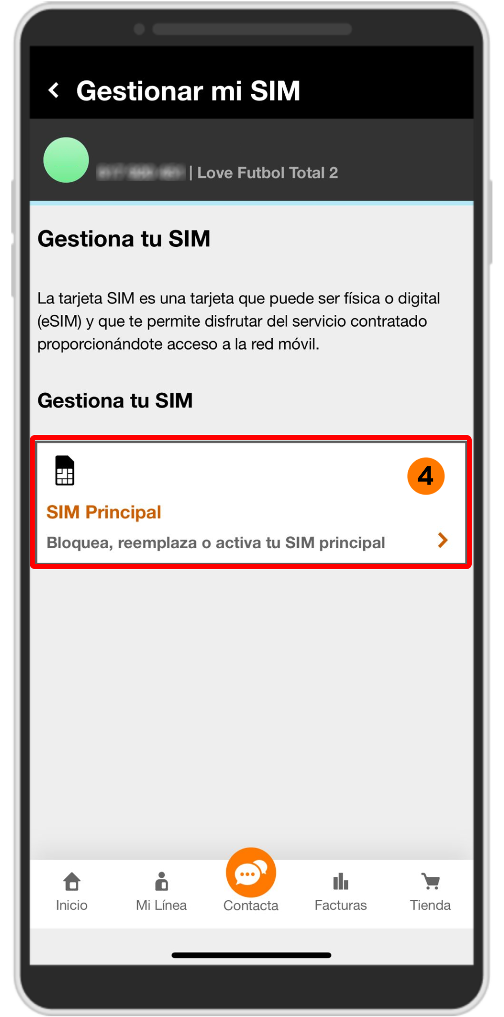 Sim principal mv1