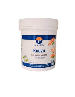 Kudzu