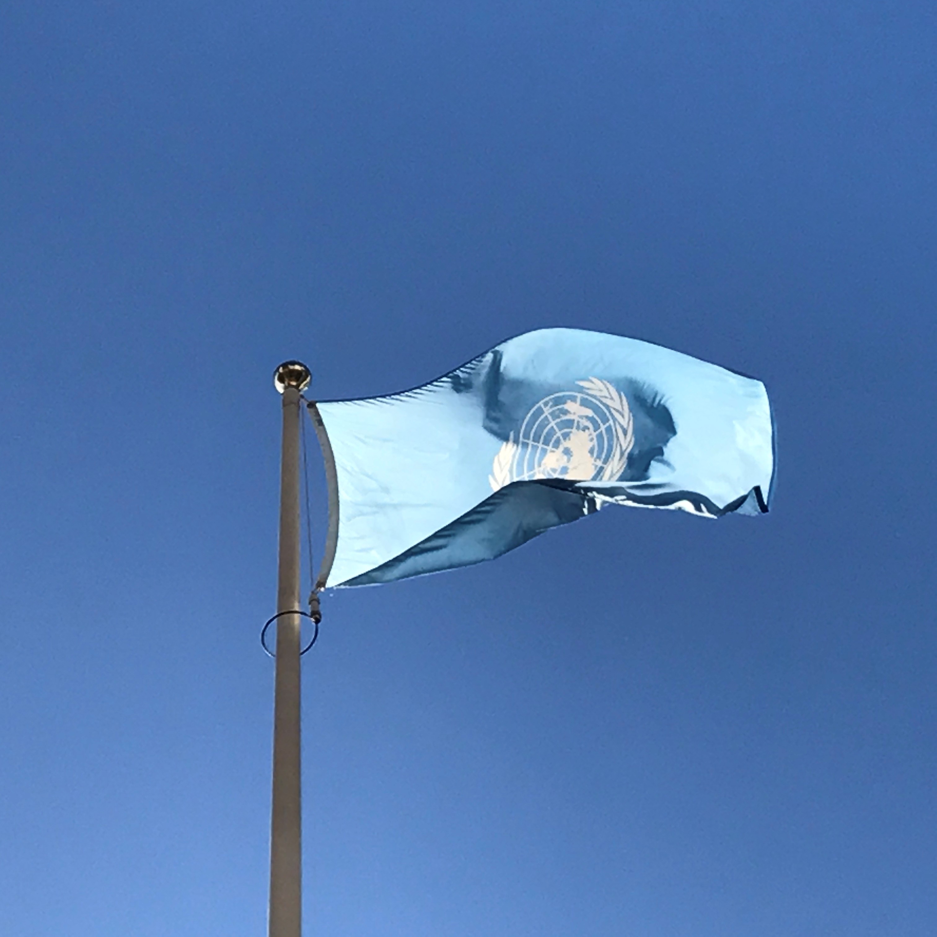 UN flag