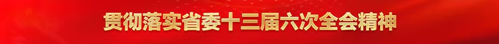 贯彻落实省委十三届六次全会精神