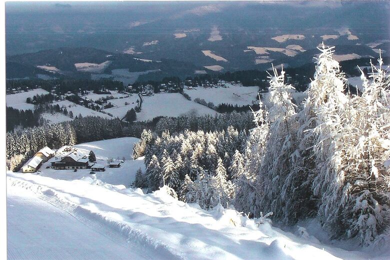 Gasthof Rieseralm