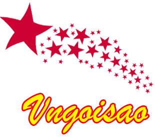 VNGOISAO