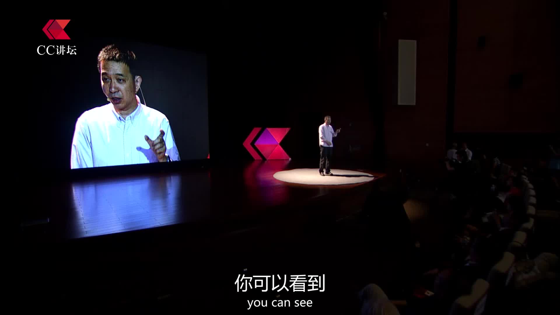 CC讲坛（科技）：王坚《互联网数据计算》