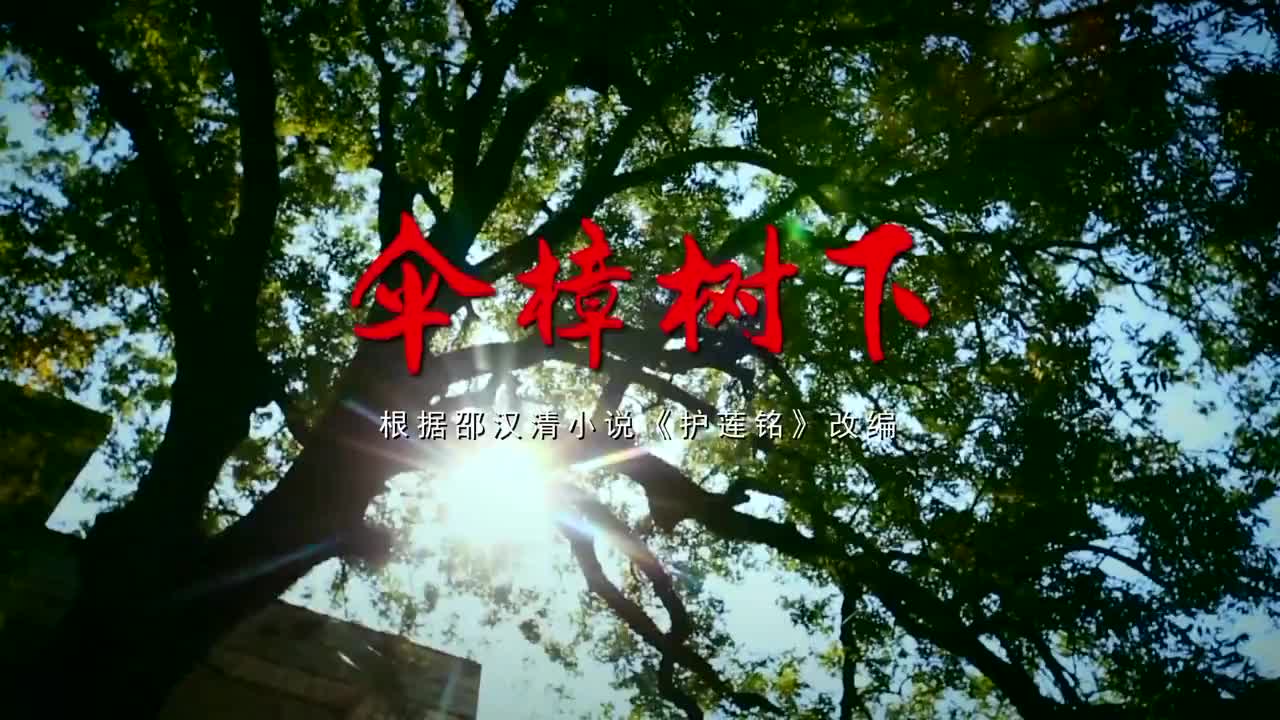 廉政微电影《伞樟树下》