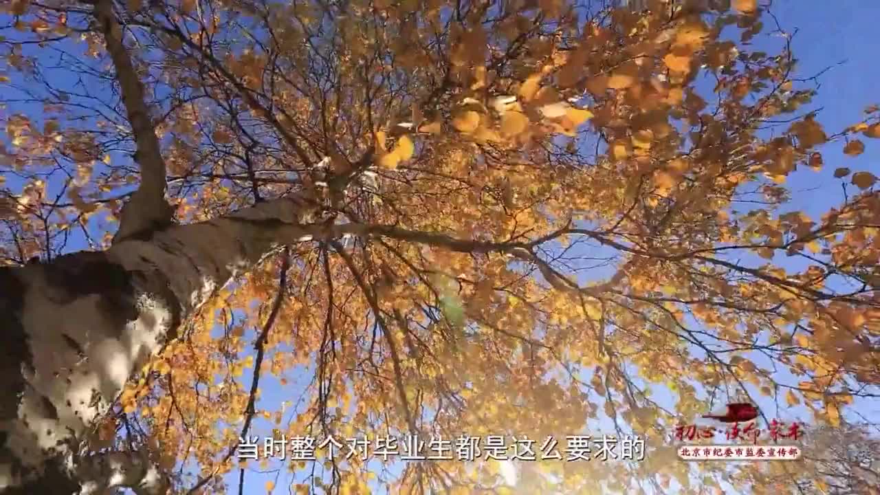 廉政纪录片《绿水青山就是金山银山_用青春构筑塞罕坝绿色屏障》