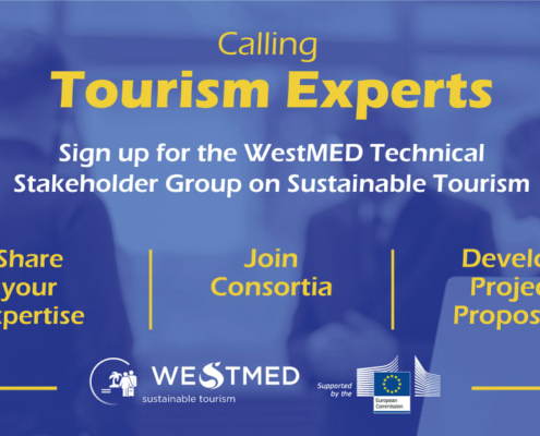 poster call for tourism experts